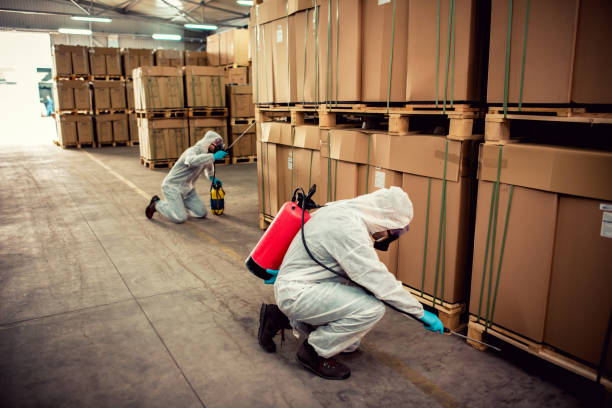 Best Pest Control Near Me  in Winlock, WA