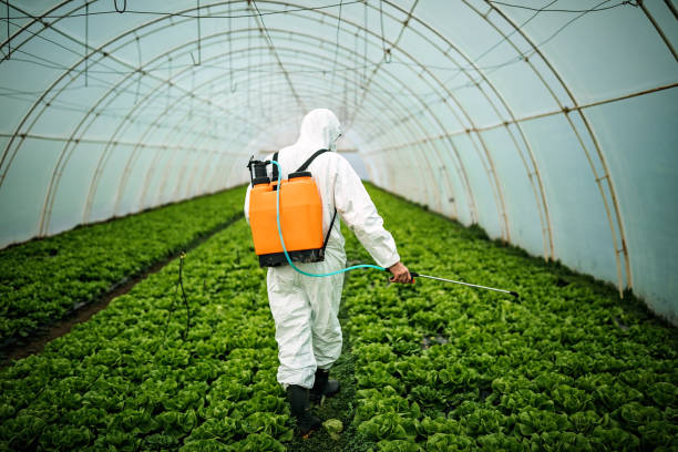 Reliable Winlock, WA Pest Control Solutions
