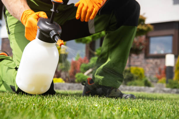 Best Pest Control Treatment  in Winlock, WA
