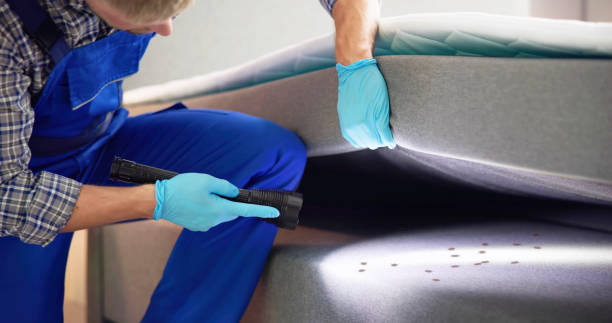 Wasp Removal Services in Winlock, WA