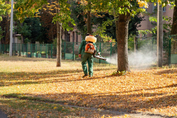 Best Best Pest Control Companies  in Winlock, WA