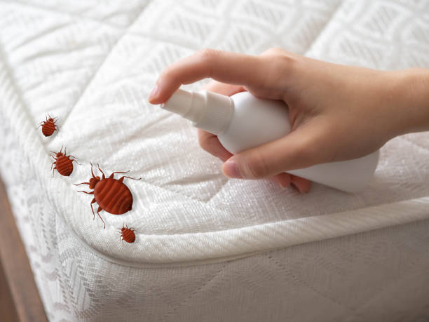 Best Emergency Pest Control  in Winlock, WA