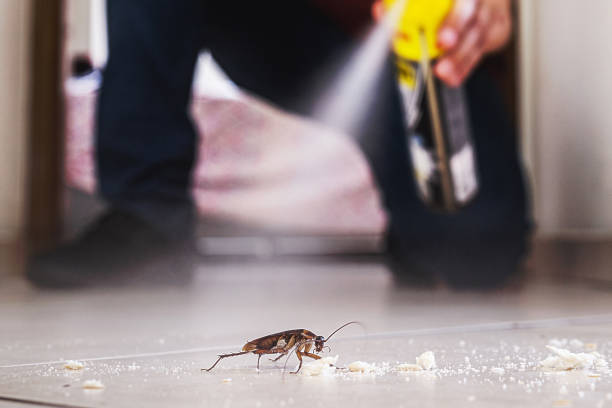 Best Best Pest Control Companies  in Winlock, WA