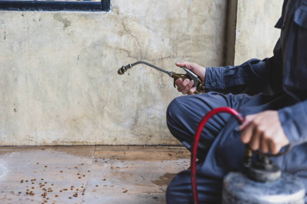 Best Rat Extermination Near Me  in Winlock, WA