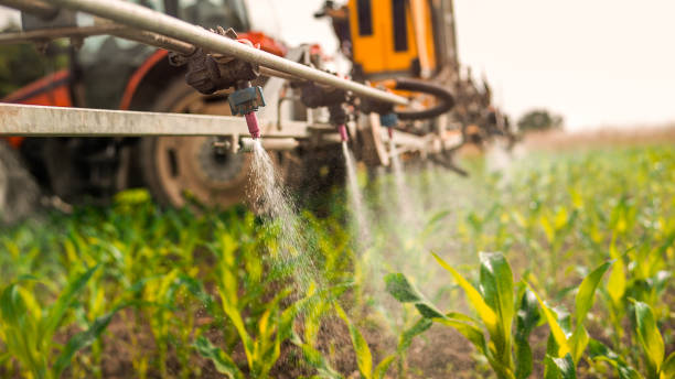 Best Pest Inspection Near Me  in Winlock, WA