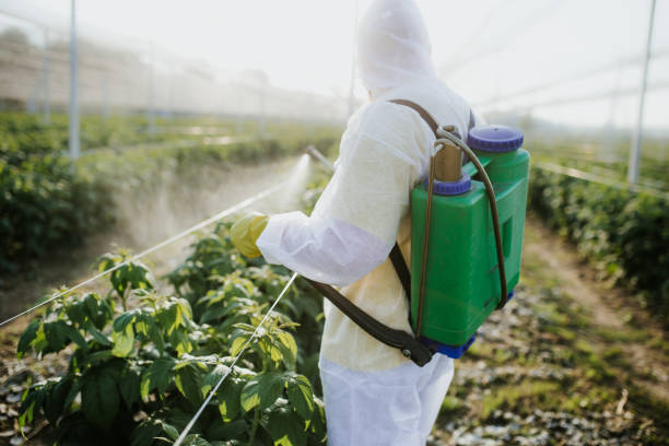 Best Cockroach Control Services  in Winlock, WA
